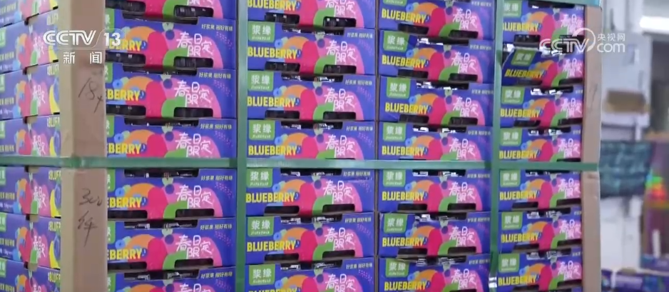 水果刺客→亲民爆款 科技为百姓“果盘子”注入“鲜”力量