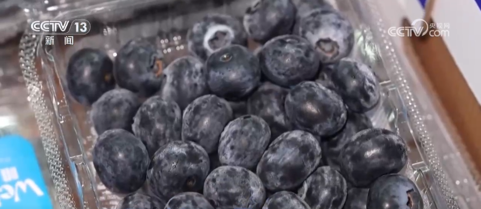 刺客kc__刺客硬盘