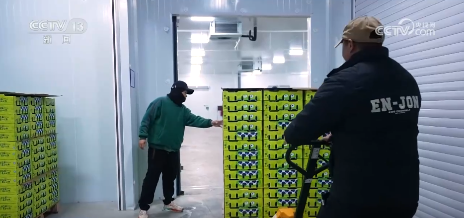 _刺客kc_刺客硬盘