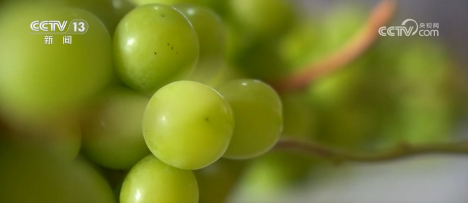 _刺客kc_刺客硬盘