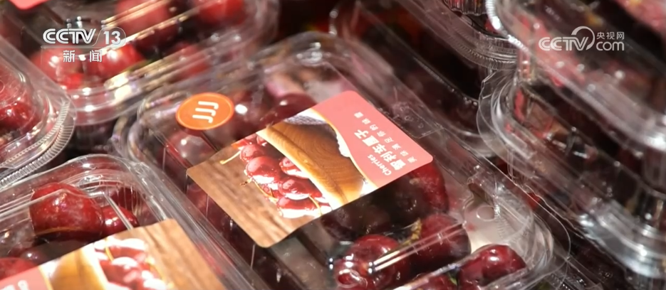 刺客硬盘__刺客kc