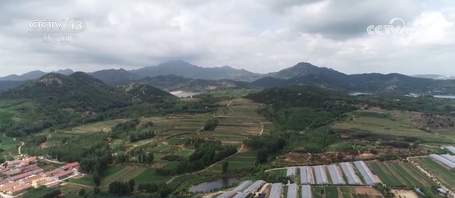 刺客kc__刺客硬盘