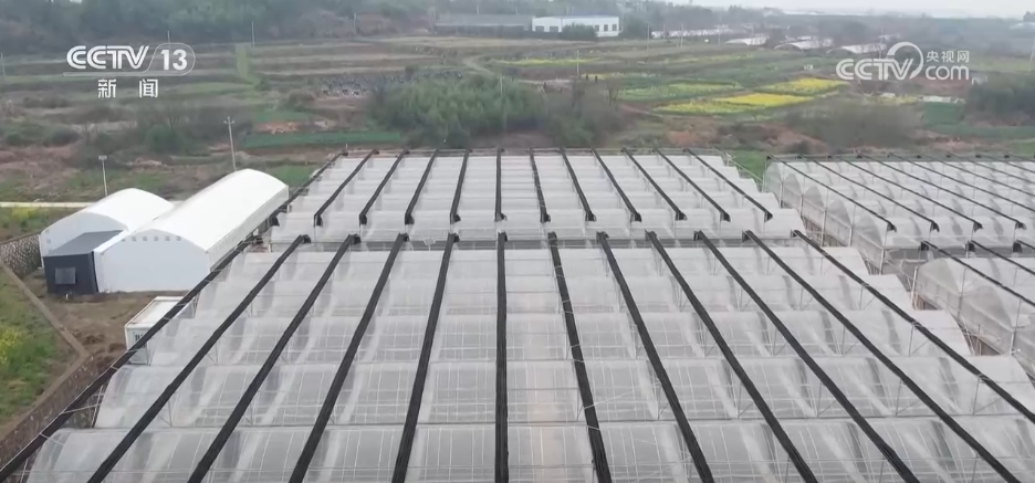 刺客硬盘__刺客kc