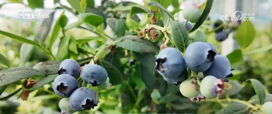 刺客硬盘__刺客kc