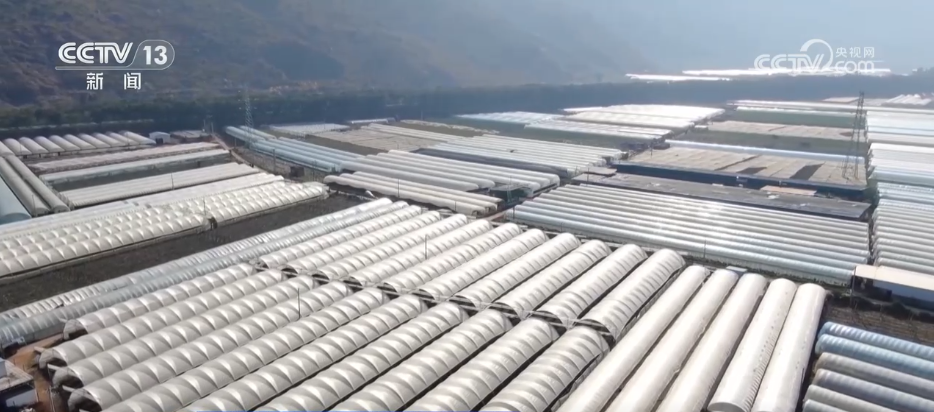 刺客硬盘__刺客kc