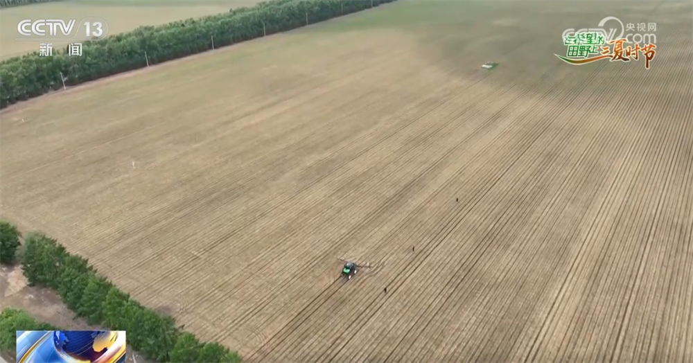 希望的田野智“绘”好“丰”景 “三夏”生产向“新”而行