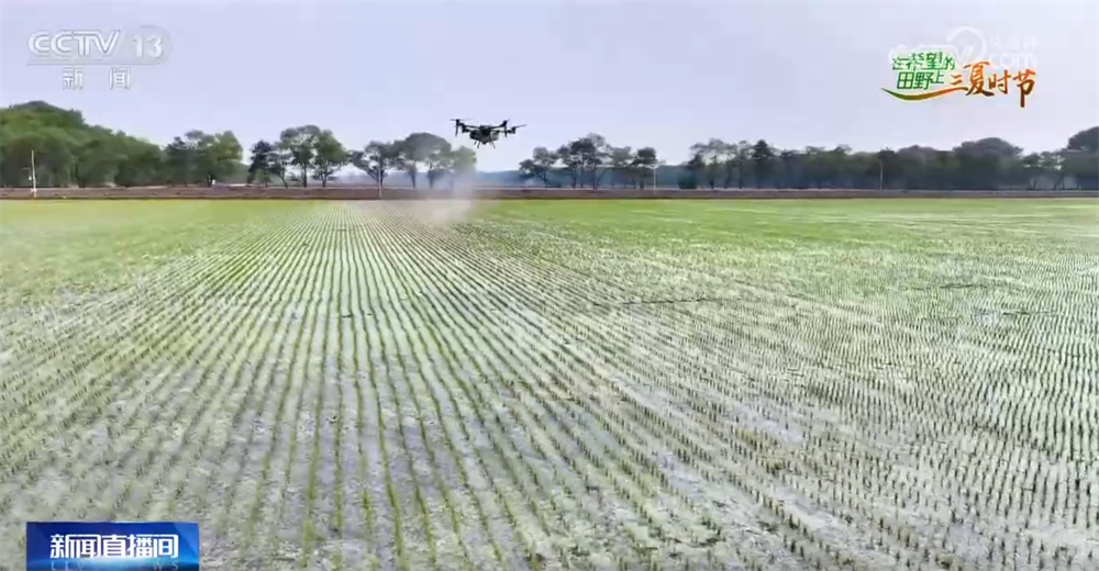 _田野绘画作品_田野绘画