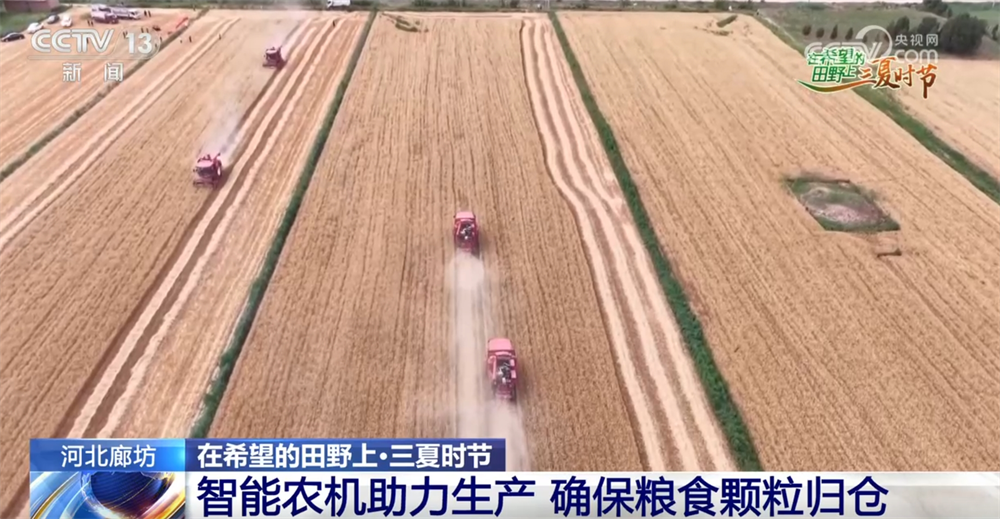 田野绘画__田野绘画作品