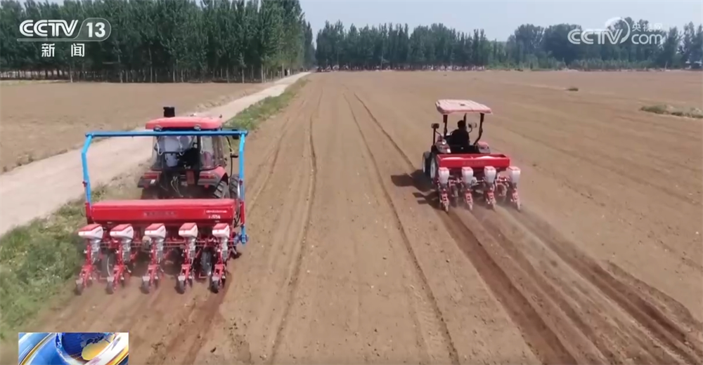 田野绘画__田野绘画作品