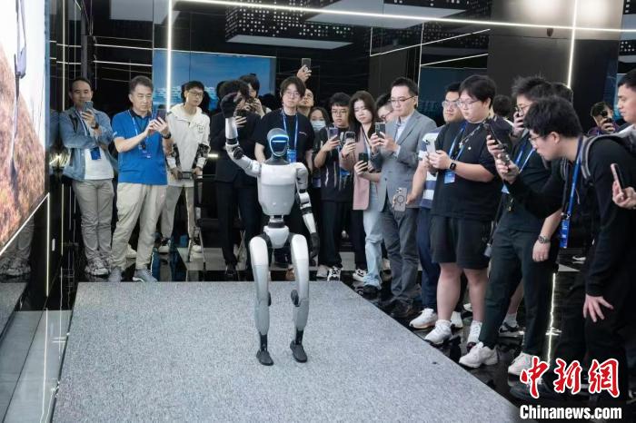 青年携手逐梦 “创新”让浙港澳合作再升级