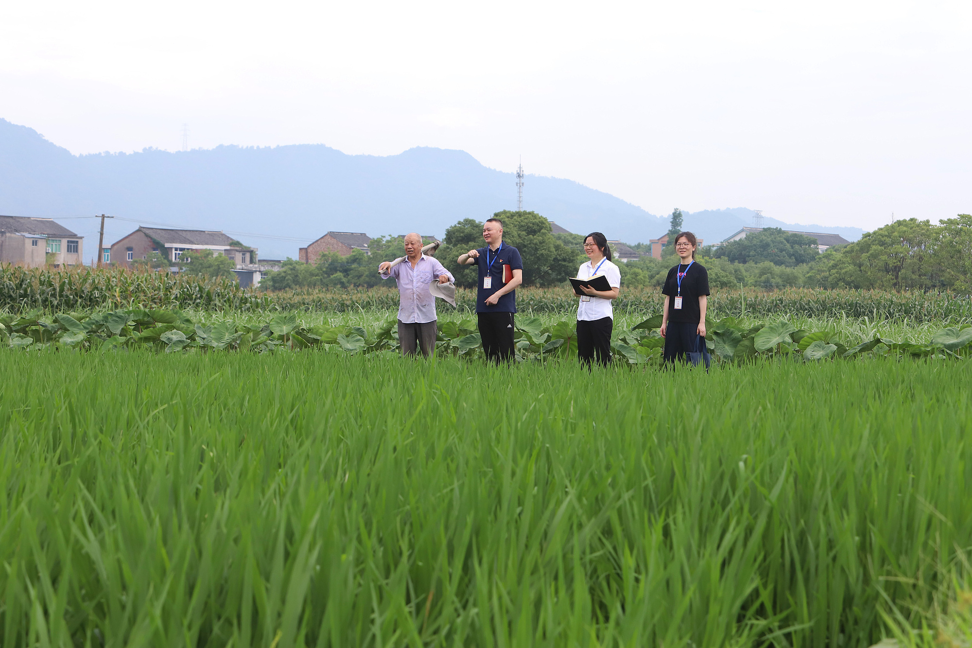 _广东金本色律师事务所_为民执政的著名人物