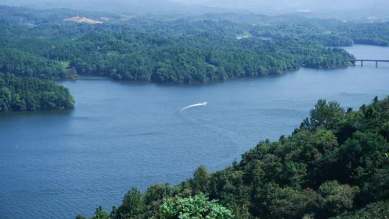 钢铁柔情近义词_钢铁柔情_