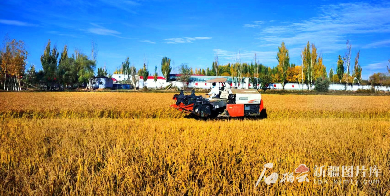 _新疆相册④丨翻身道情_新疆相册④丨翻身道情