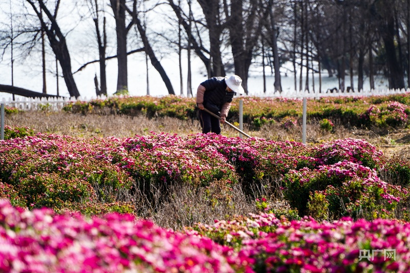守护最美的风景_美丽风景共同守护_
