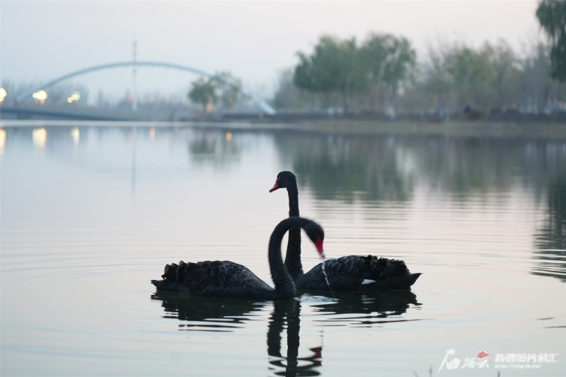 当Citywalk遇见小城，新疆文旅给出新答案_当Citywalk遇见小城，新疆文旅给出新答案_