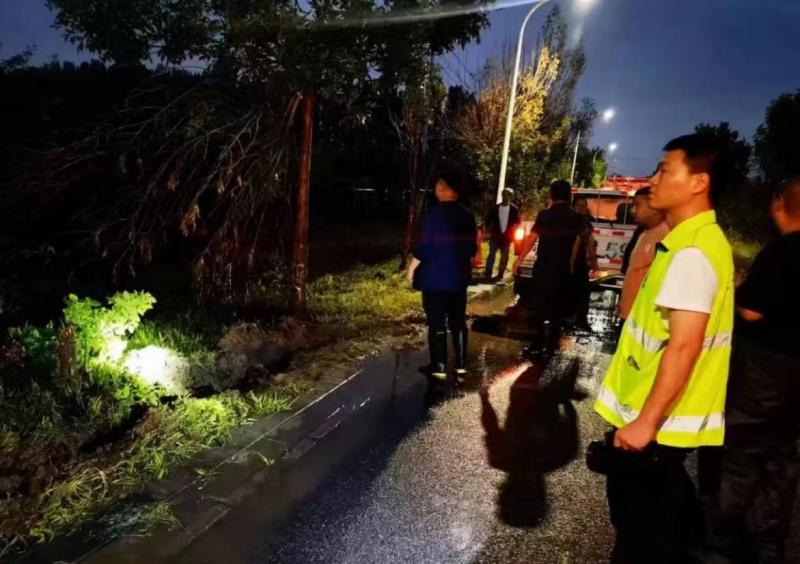 京华好风气｜北京大兴青年崔正康：8464公里林地巡查 守护158种珍稀鸟类栖息