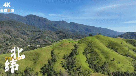 云南文化云__关于云南文化的书