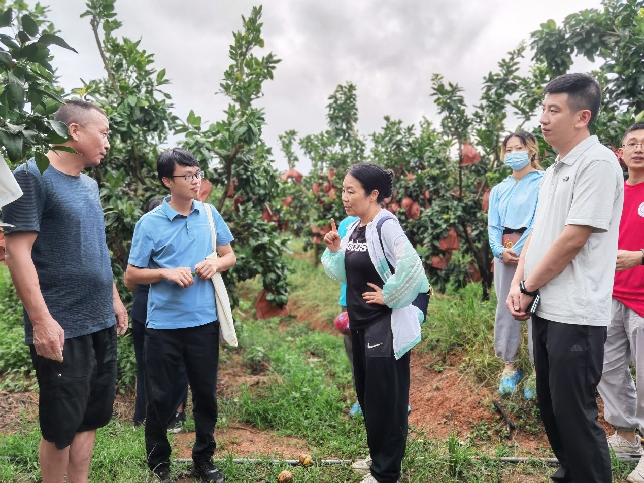何以中国丨闽山闽水映初心__何以中国丨闽山闽水映初心
