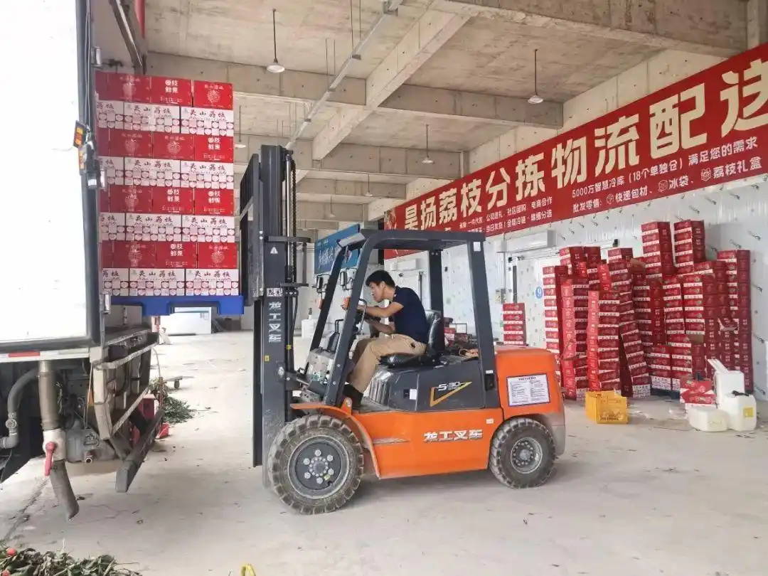 广西灵山荔枝上市时间_广西灵山荔枝新光农场_