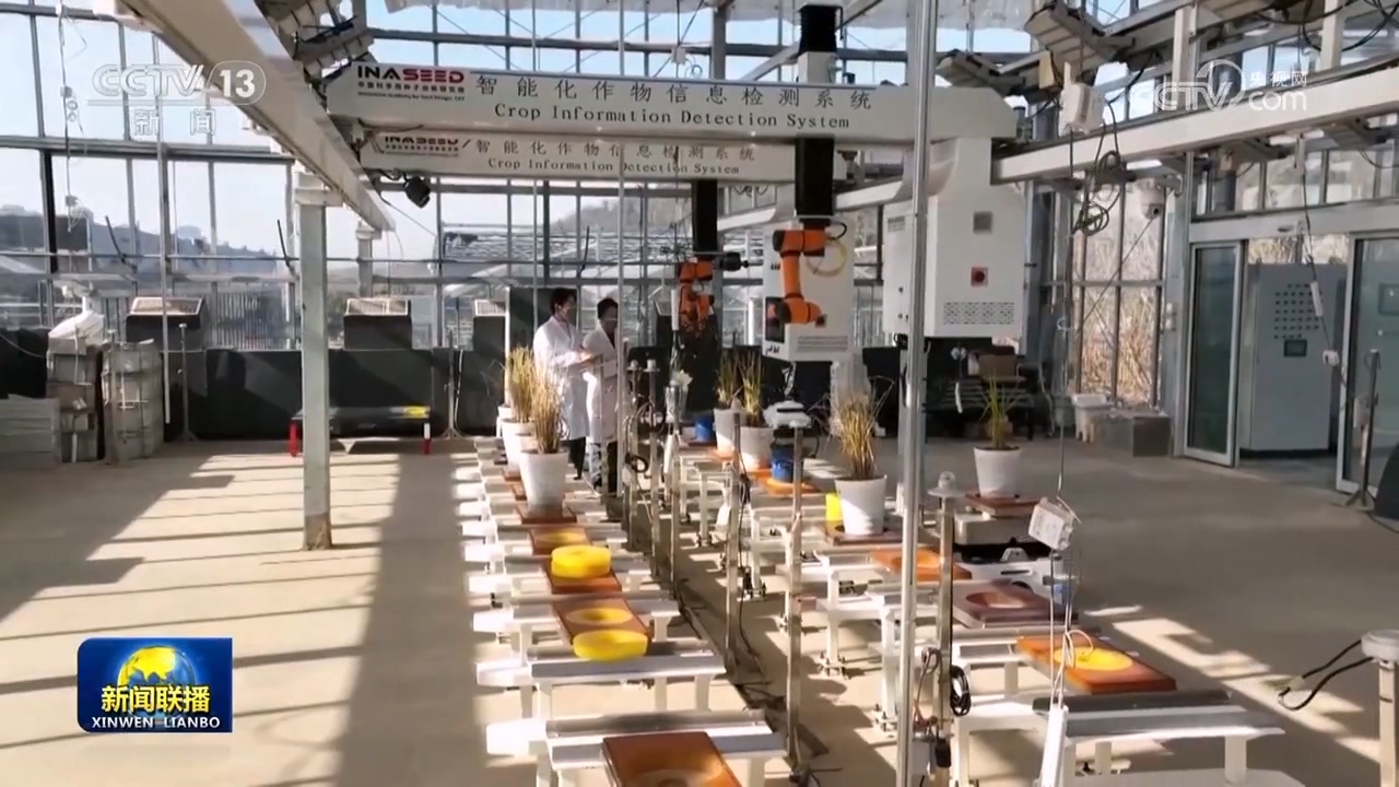 _科技创新筑牢强国之基_夯实科技自立自强的人才根基