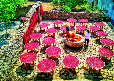 光明日报网页版__光明日报电子报