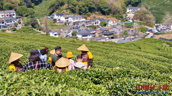 中经评论：春光正好，解锁文旅消费“留量”密码