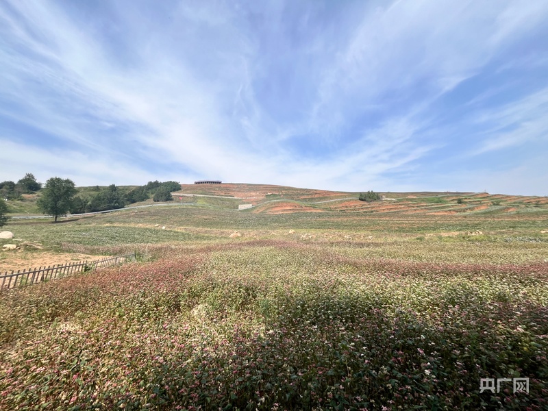 高质量发展看中国丨“民宿兴村”烹热“蓝田味”  产教融合“链”动发展新引擎