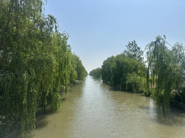 高质量发展看中国｜小小大蒜种出“辣”经济_高质量发展看中国｜小小大蒜种出“辣”经济_