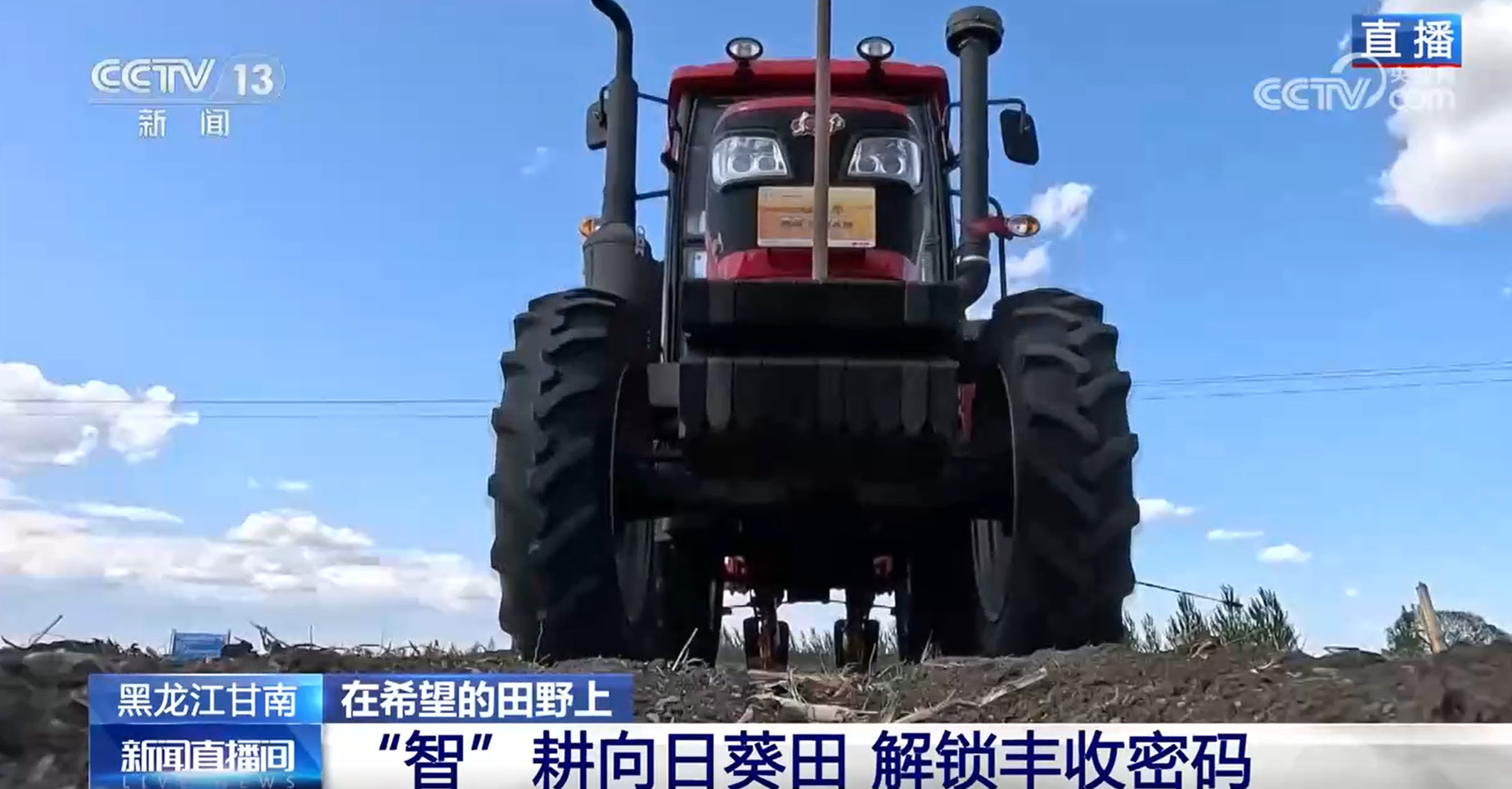 “智”耕向日葵田、猕猴桃机械授粉 农业科技助力丰产丰收