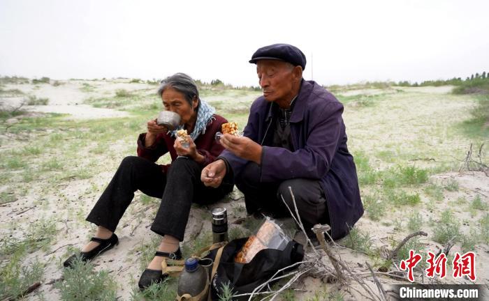 _新疆“当代愚公”：沙海中41载“凿”34公里“绿色长城”_新疆“当代愚公”：沙海中41载“凿”34公里“绿色长城”