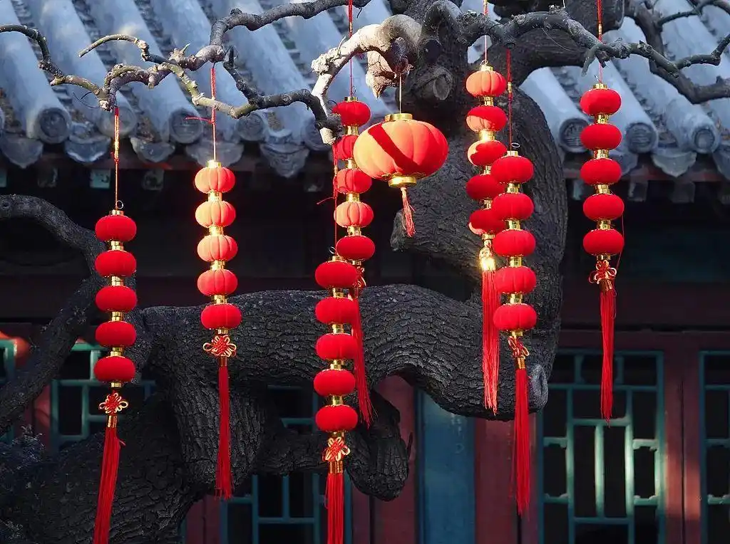 压岁钱其实不是“钱”？有关春节的冷知识都在这儿→__压岁钱其实不是“钱”？有关春节的冷知识都在这儿→