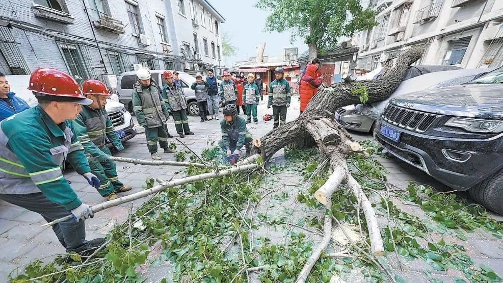 【京华好风气】狂风中，他们撑起“防风屏障”_北京时间