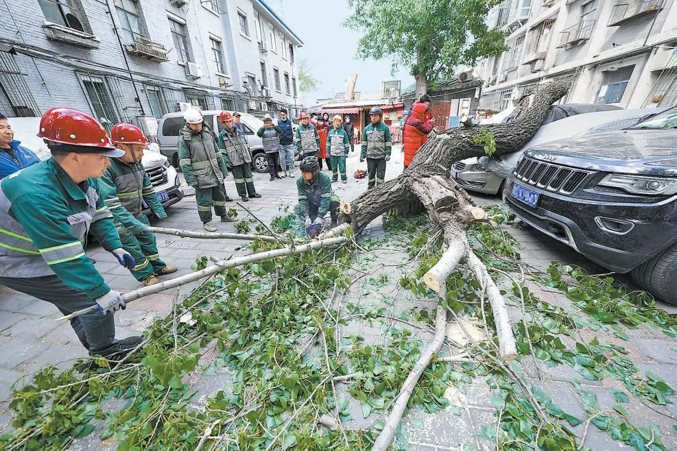 【京华好风气】狂风中，他们撑起“防风屏障”_北京时间__【京华好风气】狂风中，他们撑起“防风屏障”_北京时间