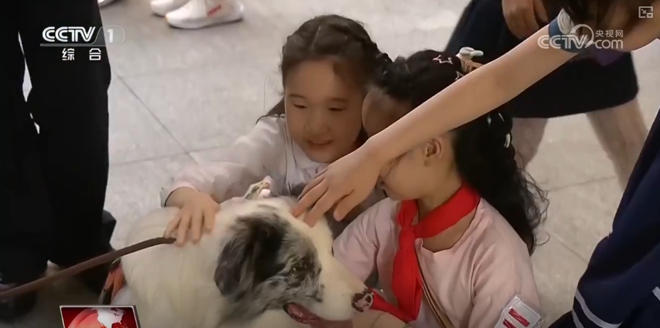 各地多彩活动迎“六一” 守护红色根脉做新时代好少年__各地多彩活动迎“六一” 守护红色根脉做新时代好少年