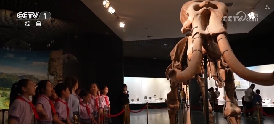 各地多彩活动迎“六一” 守护红色根脉做新时代好少年__各地多彩活动迎“六一” 守护红色根脉做新时代好少年