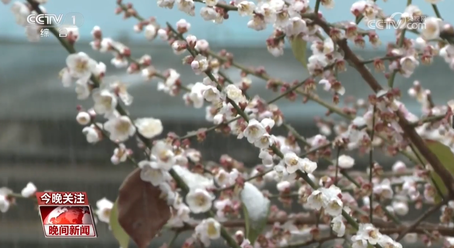 四海五湖过大年__四海五湖遍足迹是什么生肖