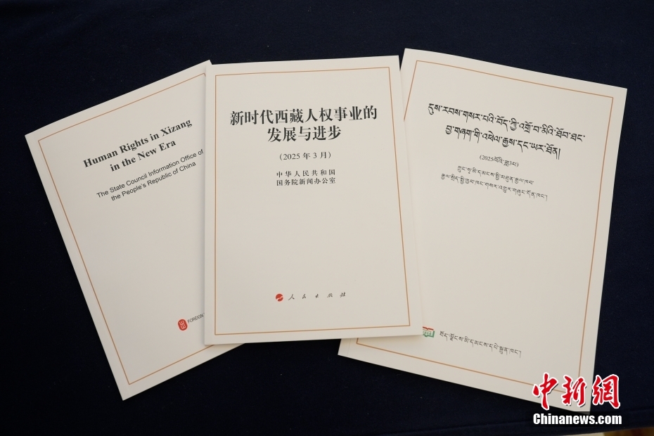 以发展促人权 西藏经济社会权利保障水平全面提升
