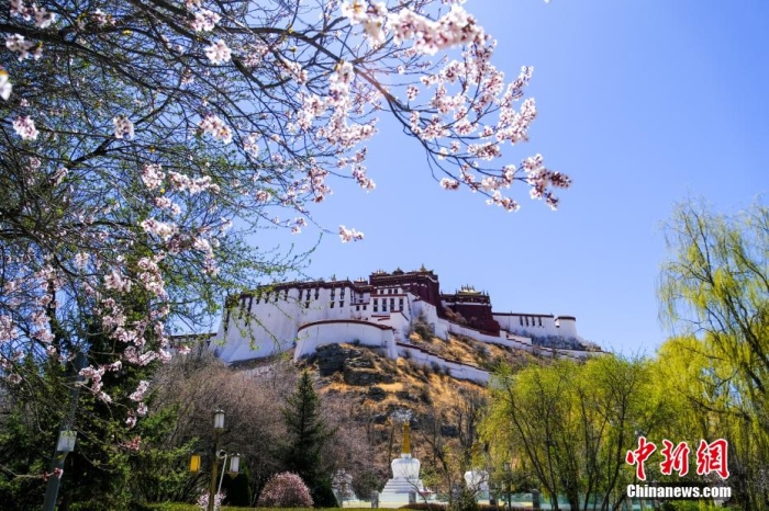 西藏权利机构_西藏的主权归属白皮书_